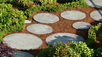 garden-54366_1280